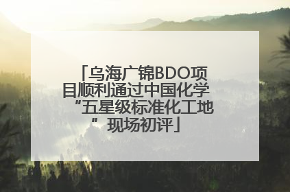 乌海广锦BDO项目顺利通过中国化学“五星级标准化工地”现场初评