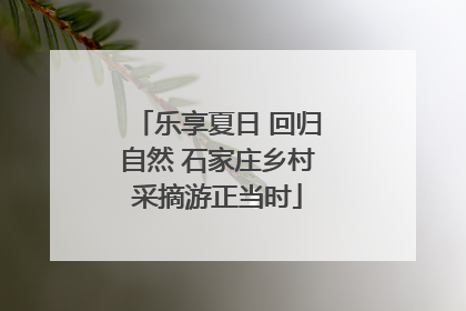 乐享夏日 回归自然 石家庄乡村采摘游正当时