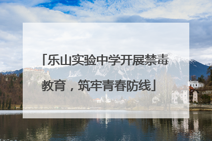 乐山实验中学开展禁毒教育，筑牢青春防线