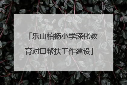 乐山柏杨小学深化教育对口帮扶工作建设