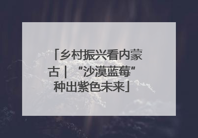 乡村振兴看内蒙古｜“沙漠蓝莓”种出紫色未来