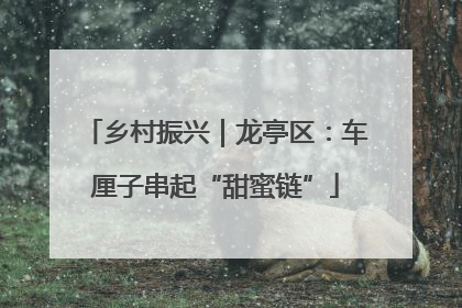 乡村振兴｜龙亭区：车厘子串起“甜蜜链”
