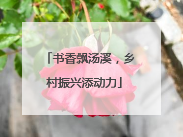 书香飘汤溪，乡村振兴添动力