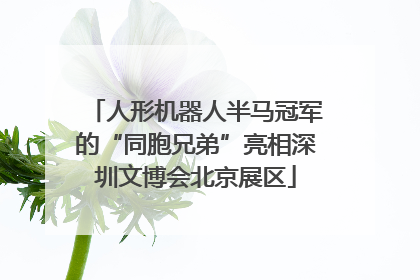 人形机器人半马冠军的“同胞兄弟”亮相深圳文博会北京展区