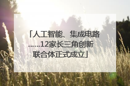 人工智能、集成电路……12家长三角创新联合体正式成立