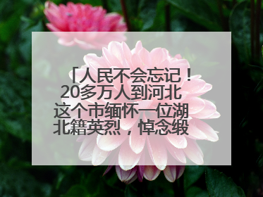 人民不会忘记！20多万人到河北这个市缅怀一位湖北籍英烈，悼念缎带挂满纪念馆