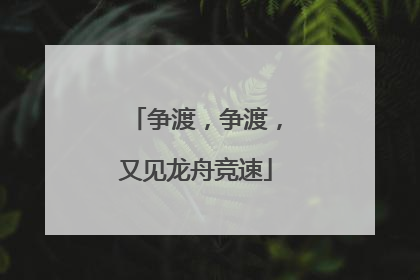 争渡，争渡，又见龙舟竞速