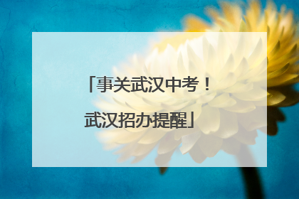 事关武汉中考！武汉招办提醒