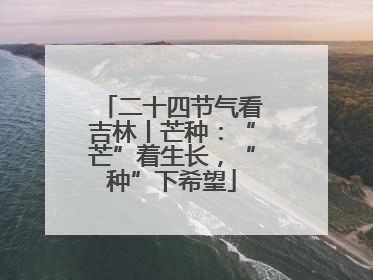 二十四节气看吉林丨芒种：“芒”着生长，“种”下希望