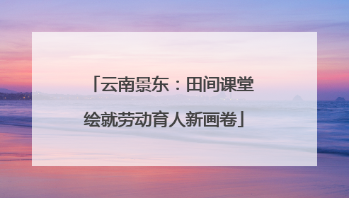 云南景东：田间课堂绘就劳动育人新画卷
