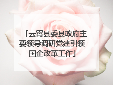 云霄县委县政府主要领导调研党建引领国企改革工作