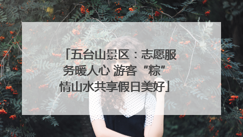 五台山景区：志愿服务暖人心 游客“粽”情山水共享假日美好