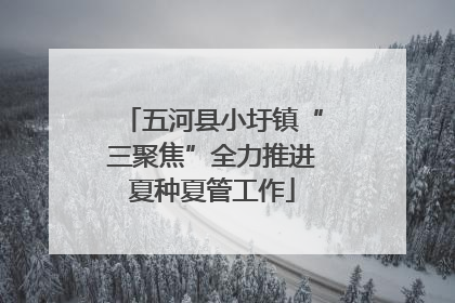 五河县小圩镇“三聚焦”全力推进夏种夏管工作