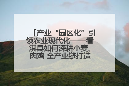 产业“园区化”引领农业现代化——看淇县如何深耕小麦、肉鸡 全产业链打造现代农业产业园