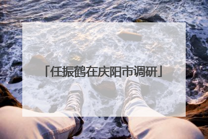 任振鹤在庆阳市调研