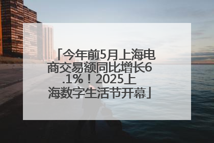 今年前5月上海电商交易额同比增长6.1%！2025上海数字生活节开幕