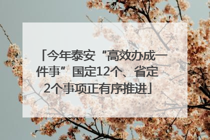 今年泰安“高效办成一件事”国定12个、省定2个事项正有序推进