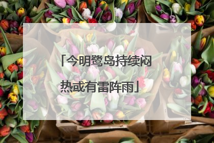 今明鹭岛持续闷热或有雷阵雨