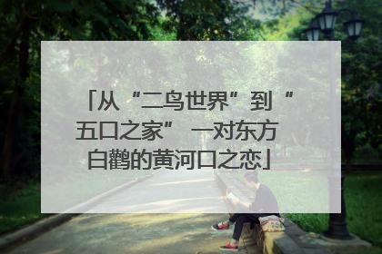 从“二鸟世界”到“五口之家” 一对东方白鹳的黄河口之恋