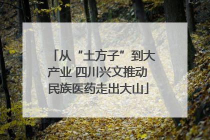 从“土方子”到大产业 四川兴文推动民族医药走出大山