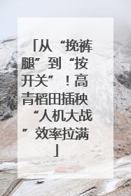 从“挽裤腿”到“按开关”！高青稻田插秧“人机大战”效率拉满