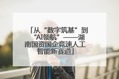 从“数字筑基”到“AI领航”——湖南国资国企竞速人工智能新赛道