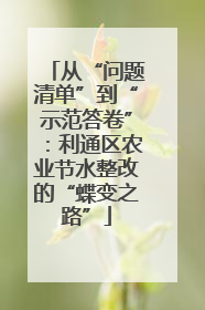 从“问题清单”到“示范答卷”：利通区农业节水整改的“蝶变之路”