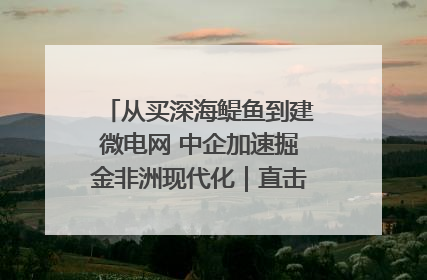 从买深海鳀鱼到建微电网 中企加速掘金非洲现代化｜直击中非经贸博览会