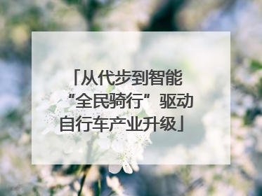 从代步到智能 “全民骑行”驱动自行车产业升级