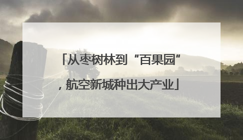 从枣树林到“百果园”，航空新城种出大产业