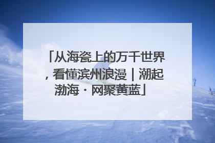 从海瓷上的万千世界，看懂滨州浪漫｜潮起渤海・网聚黄蓝