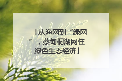从渔网到“绿网”，蔡甸桐湖网住绿色生态经济