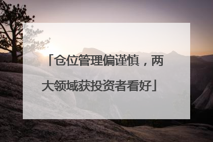 仓位管理偏谨慎，两大领域获投资者看好