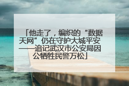 他走了，编织的“数据天网”仍在守护大城平安——追记武汉市公安局因公牺牲民警万松