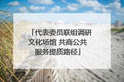 代表委员联组调研文化场馆 共商公共服务提质路径