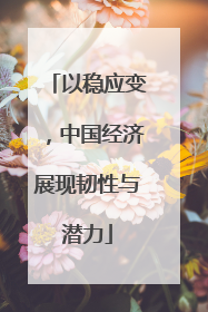 以稳应变，中国经济展现韧性与潜力