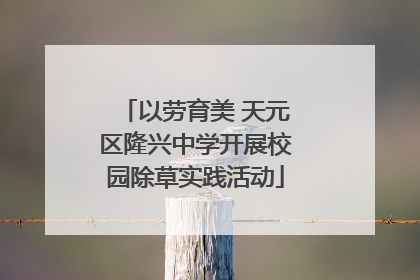 以劳育美 天元区隆兴中学开展校园除草实践活动