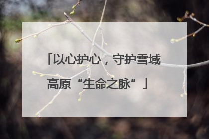 以心护心，守护雪域高原“生命之脉”