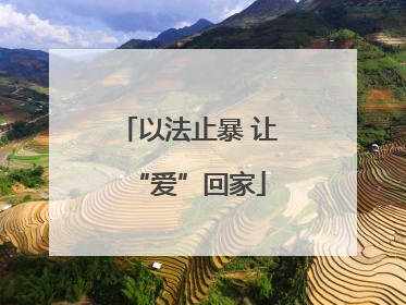 以法止暴 让“爱”回家
