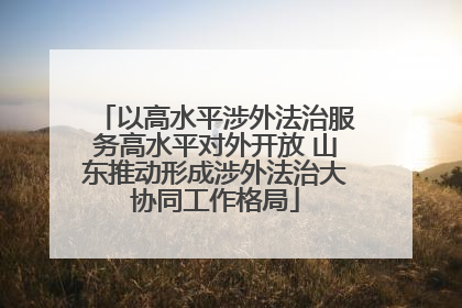 以高水平涉外法治服务高水平对外开放 山东推动形成涉外法治大协同工作格局
