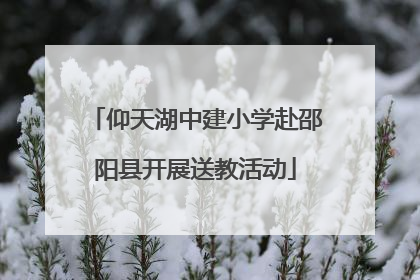 仰天湖中建小学赴邵阳县开展送教活动