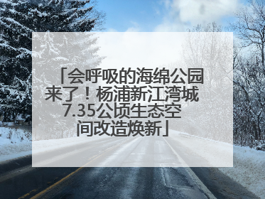 会呼吸的海绵公园来了！杨浦新江湾城7.35公顷生态空间改造焕新