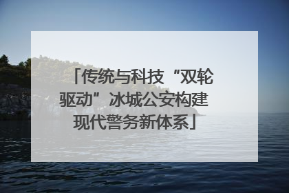 传统与科技“双轮驱动”冰城公安构建现代警务新体系