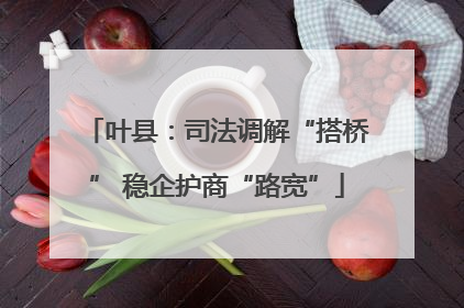 叶县：司法调解“搭桥” 稳企护商“路宽”