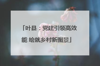 叶县：党建引领高效能 绘就乡村新图景