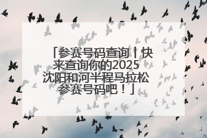 参赛号码查询丨快来查询你的2025沈阳和河半程马拉松参赛号码吧！