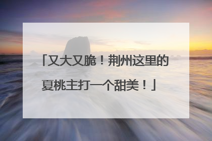 又大又脆！荆州这里的夏桃主打一个甜美！