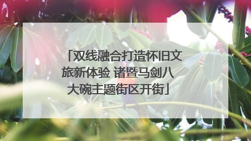 双线融合打造怀旧文旅新体验 诸暨马剑八大碗主题街区开街