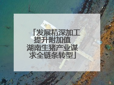 发展精深加工 提升附加值 湖南生猪产业谋求全链条转型