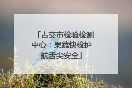 古交市检验检测中心：果蔬快检护航舌尖安全